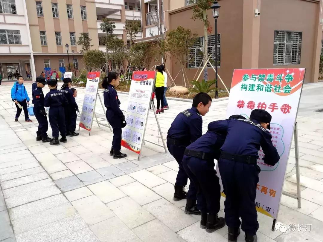 长汀县小学最新动态报道